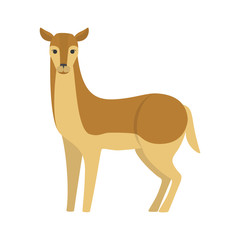 Cute doe wild female animal. Brown fur