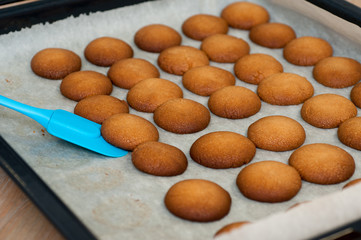 homemade shortbread cookies on a baking sheet