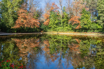 Autumn Reflection