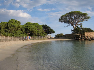 Palombaggia - Corsica - France