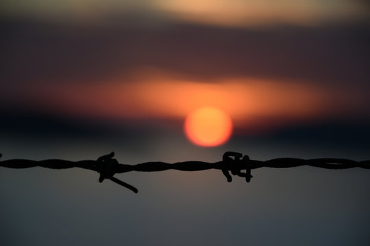 barbed wire and sinking sun in the background