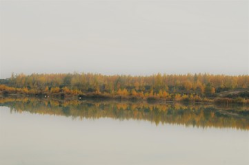 Autumn morning mood on the shore of a lake with light fog and trees on the shore 