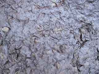 Background of Wet Soil, Texture of Muddy Soil