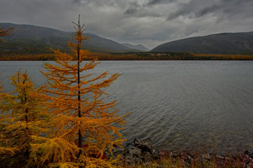 Fototapeta na wymiar Russia. Magadan. The amazing beauty of the autumn of the Far East. The lake Maxi