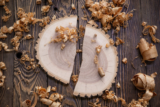 Wood shavings and Ashen tree cross section on the carpenter's workbench close up: woodworking and carpentry concept