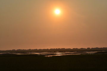 Tidal Marsh Sunrise