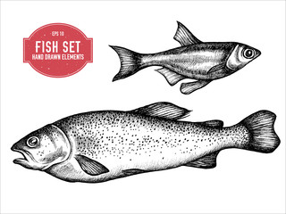 Vector collection of hand drawn black and white fish