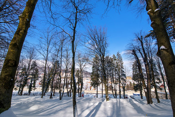 Beautiful winter landscape. Park covered with deep, white and fluffy snow. Footprints and trails in snow. Winter wonderland on sunny day. After snow storm and hurricane.