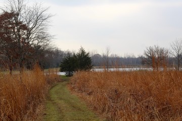 Fototapeta na wymiar The grass path down to the lake in the background.