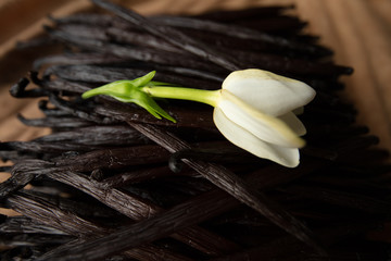 fleur de tiare sur gousse de vanille © Temanu