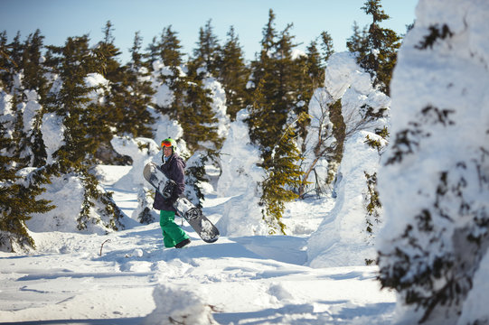 A snowboarder walks with a board in the middle of a snow-covered forest in a mountainous area.