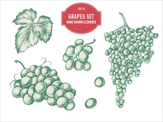 Vector collection of hand drawn pastel grapes