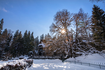Beautiful winter landscape. Park covered with deep, white and fluffy snow. Footprints and trails in snow. Winter wonderland on sunny day. After snow storm and hurricane.