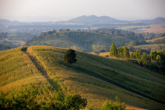 カオヤイ Images Browse 65 Stock Photos Vectors and Video Adobe Stock