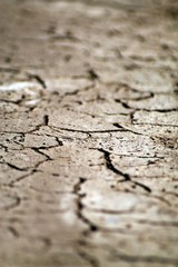 Focus on dried up earth