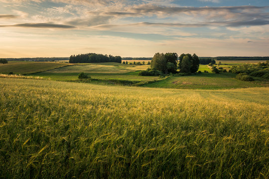 Landscape with masurian meadows near Banie Mazurskie, Masuria, Poland