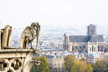 Stone statue of a chimera bird on the towers gallery of Notre-Dame de Paris cathedral overlooking the city, with the church of Saint-Gervais, vanishing in the mist in the distance.