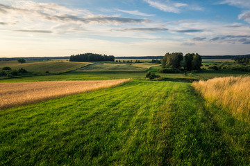 Landscape with masurian meadows near Banie Mazurskie, Masuria, Poland