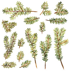 Watercolor set of spruce branches for Christmas decoration