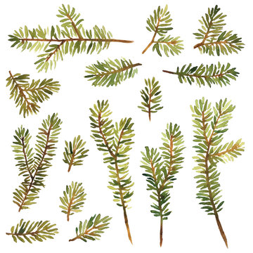 Watercolor set of spruce branches for Christmas decoration