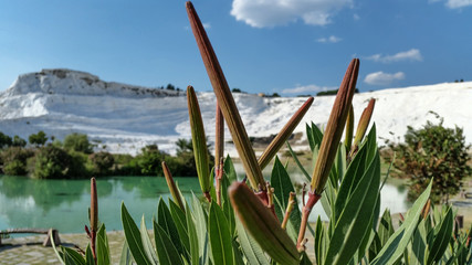 Pamukkale Denizli