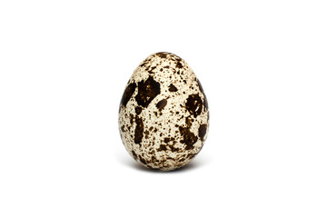 Obraz premium Quail egg on white background