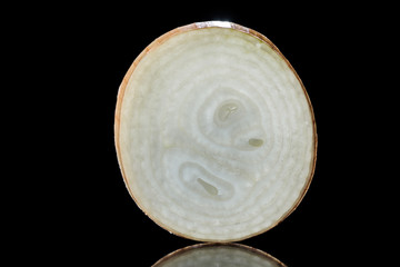 slice of fresh raw onion isolated on black