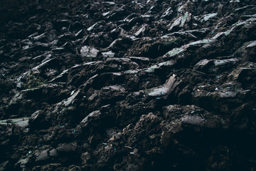 cornfield after the harvest - moody style image
