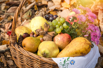 Autumn seasonal fruit, organic fruit in wicker basket 