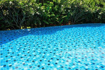 blue swimming pool around with green nature garden