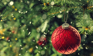 Christmas red luxury ball on tree branches in snowy atmosphere