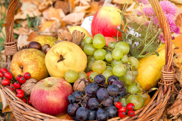 Naklejka na ściany i meble Healthy food, organic autumn fruit in wicker basket