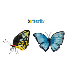watercolor blue and colored butterflies