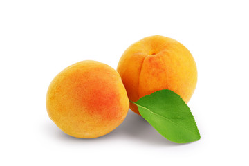 Apricots with leaves  on a white background