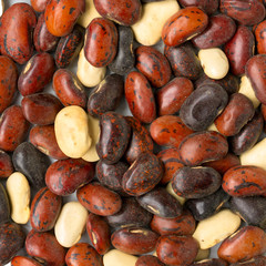 fine colored beans as a background or texture