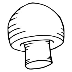 Mushroom icon. Vector illustration of a mushroom. Hand drawn mushroom.