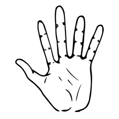 Palm icon. Vector illustration human hand palm. Hand drawn arm.