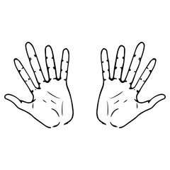 Two palm icon. Vector illustration human hand palm. Hand drawn arm.
