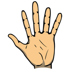 Palm icon. Vector illustration human hand palm. Hand drawn arm.