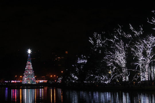 S&atilde;o Paulo, 09/12/2018 - Espet&aacute;culo de Natal toma conta da noite no Parque Ibirapuera, com &aacute;rvore de natal e decora&ccedil;&otilde;es nas &aacute;rvores do parque