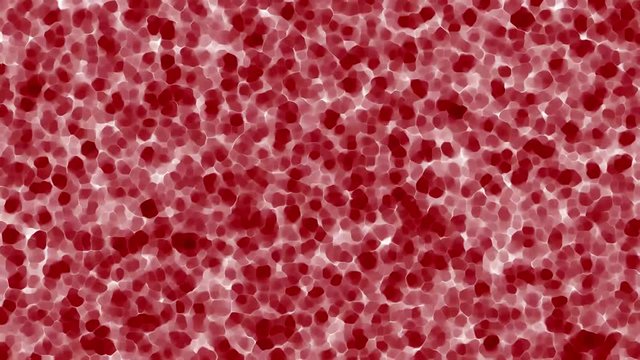 Red, human cell animation. Cells, stem background from microscope.