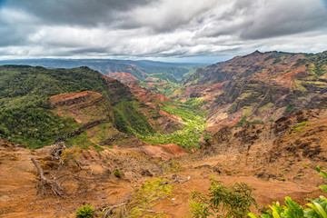 Waimea Canyon from Puu Hinahina Lookout
