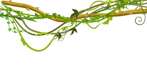 Twisted wild lianas branches banner. © incomible