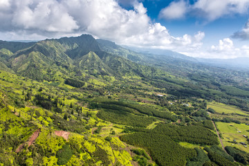 Obraz premium Aeial View over the Garden Island Kauai in Hawaii, USA