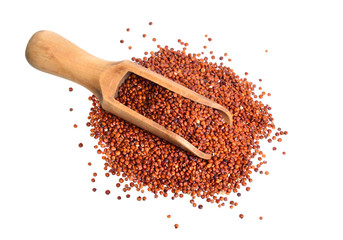 Red Quinoa or Chenopodium quinoa. Isolated on white background