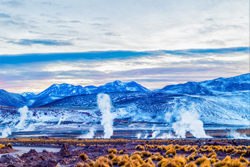 In the morning steam and smoke of the Geysers Del Tatio, mountains, blue vegetation and yellow...