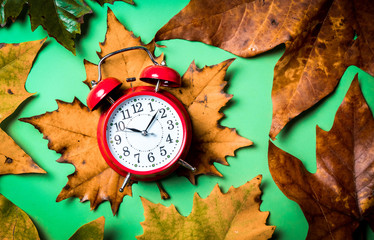 Vintage alarm clock and maple leaves on color background