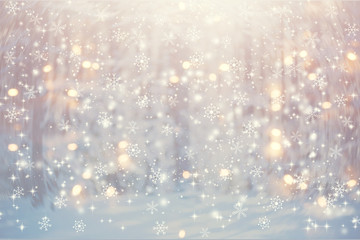 Beautiful snowy forest and abstract shiny light background
