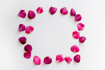 Frame from pink rose petals on white background. Romance concept. Top view, flat lay, copy space