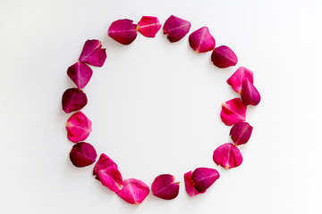 Round frame from pink rose petals on white background. Romance concept. Top view, flat lay, copy space